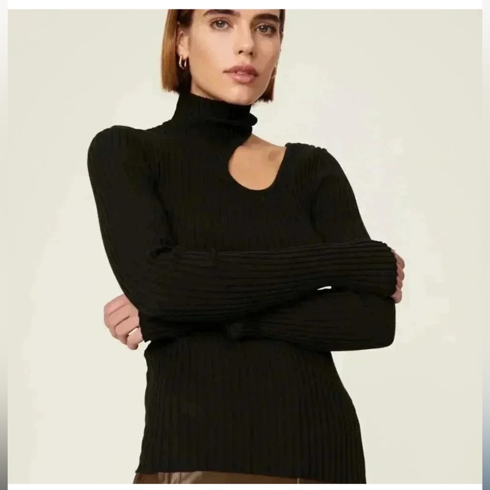 Anine Bing Victoria Cutout Turtleneck